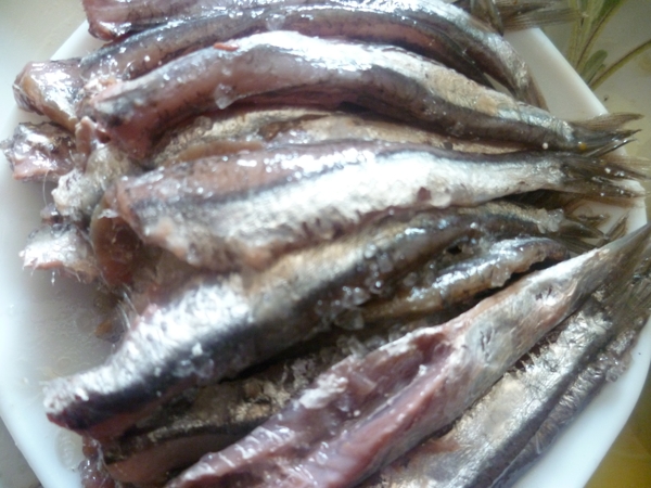 anchausel