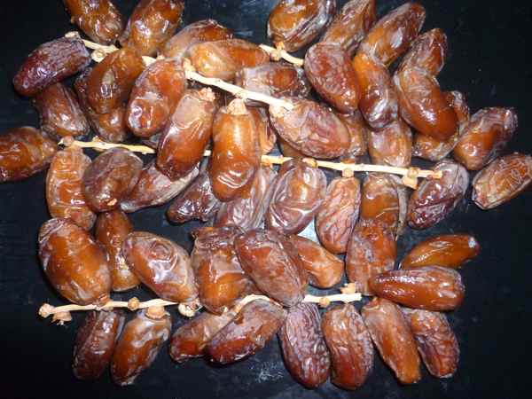 degletnooralgrie
